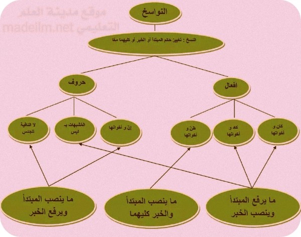 ارسم شكلا يلخص نواسخ المبتدا والخبر ويوضح عملها