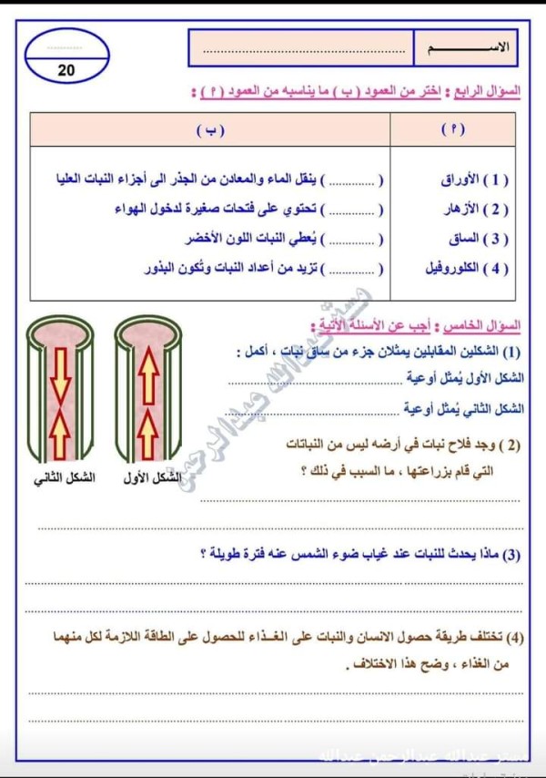 اختبار مادة علوم للصف الخامس الابتدائي 2023 على المفهوم الأول